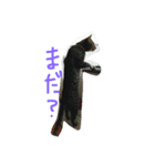 サティとイオン（個別スタンプ：5）