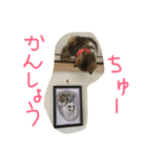 べにべに2（個別スタンプ：3）