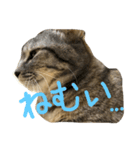 ヤコ＆ルコ（個別スタンプ：6）