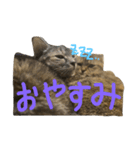 ヤコ＆ルコ（個別スタンプ：7）
