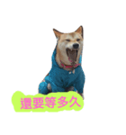 sbiba smilebear dog（個別スタンプ：8）