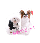 しょうちゃん＆ひめちゃんwithおもち（個別スタンプ：5）
