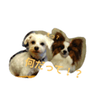 しょうちゃん＆ひめちゃんwithおもち（個別スタンプ：6）