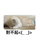 Petsss（個別スタンプ：2）