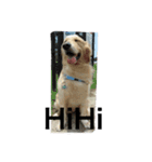 Petsss（個別スタンプ：4）
