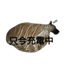 グレートデーンスタンプ（個別スタンプ：8）