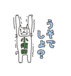 ばんざい猫 小須田用 修正版（個別スタンプ：15）