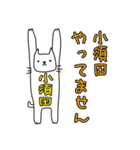 ばんざい猫 小須田用 修正版（個別スタンプ：22）