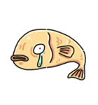 Fish couple（個別スタンプ：10）