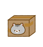 The heart of a cat（個別スタンプ：26）