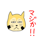 かわいいたぬきのひこまるスタンプ（個別スタンプ：17）