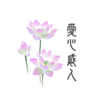 Good Lotus（個別スタンプ：17）