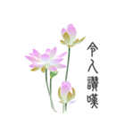 Good Lotus（個別スタンプ：21）