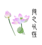 Good Lotus（個別スタンプ：24）