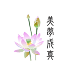 Good Lotus（個別スタンプ：25）