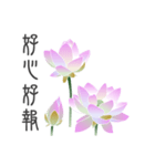 Good Lotus（個別スタンプ：37）