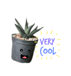 Cactus by MeBuddest（個別スタンプ：9）