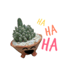 Cactus by MeBuddest（個別スタンプ：10）