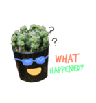 Cactus by MeBuddest（個別スタンプ：15）