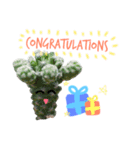 Cactus by MeBuddest（個別スタンプ：17）