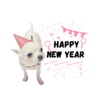 Bobby Lovely Dog v.1（個別スタンプ：1）