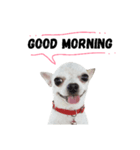Bobby Lovely Dog v.1（個別スタンプ：4）