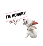 Bobby Lovely Dog v.1（個別スタンプ：8）