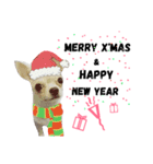 Bobby Lovely Dog v.1（個別スタンプ：9）
