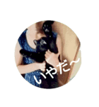 Black Dog＆Cat（個別スタンプ：2）