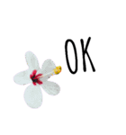 Super flower（個別スタンプ：19）
