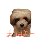 めいちゃんです（個別スタンプ：2）