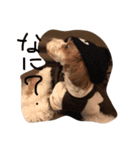めいちゃんです（個別スタンプ：3）