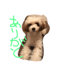 めいちゃんです（個別スタンプ：4）