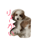 めいちゃんです（個別スタンプ：8）