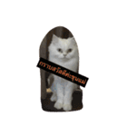 luka meow ma aang（個別スタンプ：4）