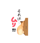 我が屋のアイドル猫様。（個別スタンプ：13）