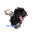Gang Black Dogs（個別スタンプ：5）