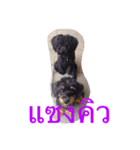 Gang Black Dogs（個別スタンプ：6）