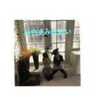 しおり☆あかり（個別スタンプ：2）
