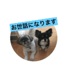 LOVE LOVE 3DOGS（個別スタンプ：4）