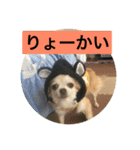 LOVE LOVE 3DOGS（個別スタンプ：15）