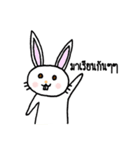 Rabbit radiologist(THAI)（個別スタンプ：1）