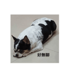 Little Lele everyday life（個別スタンプ：7）