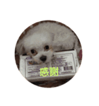 ヌヌとチビ（個別スタンプ：2）