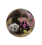 ヌヌとチビ（個別スタンプ：3）