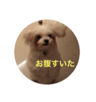 ヌヌとチビ（個別スタンプ：6）