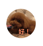 ヌヌとチビ（個別スタンプ：7）
