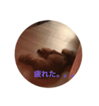 ヌヌとチビ（個別スタンプ：8）