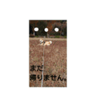 気ままに こん太君（個別スタンプ：3）