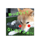 気ままに こん太君（個別スタンプ：7）